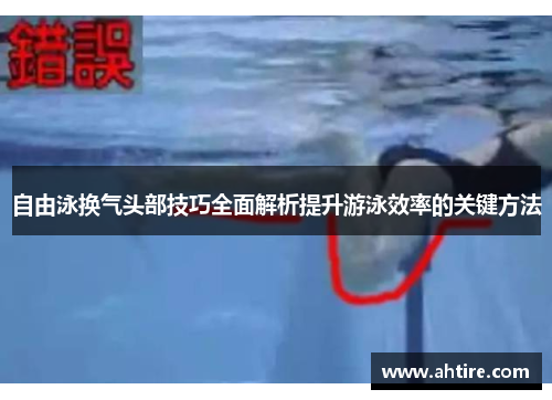 自由泳换气头部技巧全面解析提升游泳效率的关键方法